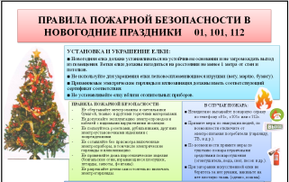 Безопасный Новый год Безопасный Новый год.